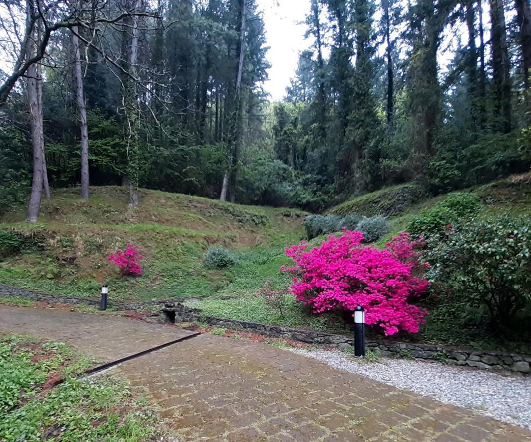 Il Bosco Di Campo Marzano Garden Apartments Borzonasca Exteriér fotografie