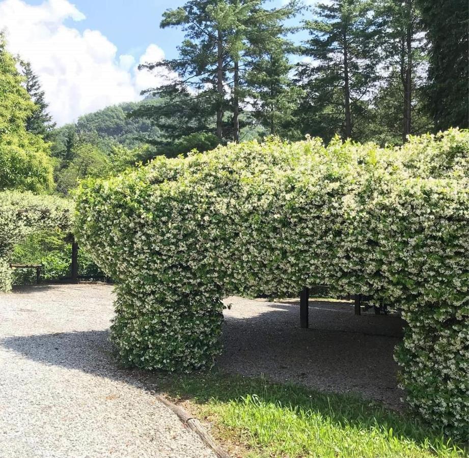 Il Bosco Di Campo Marzano Garden Apartments Borzonasca Exteriér fotografie