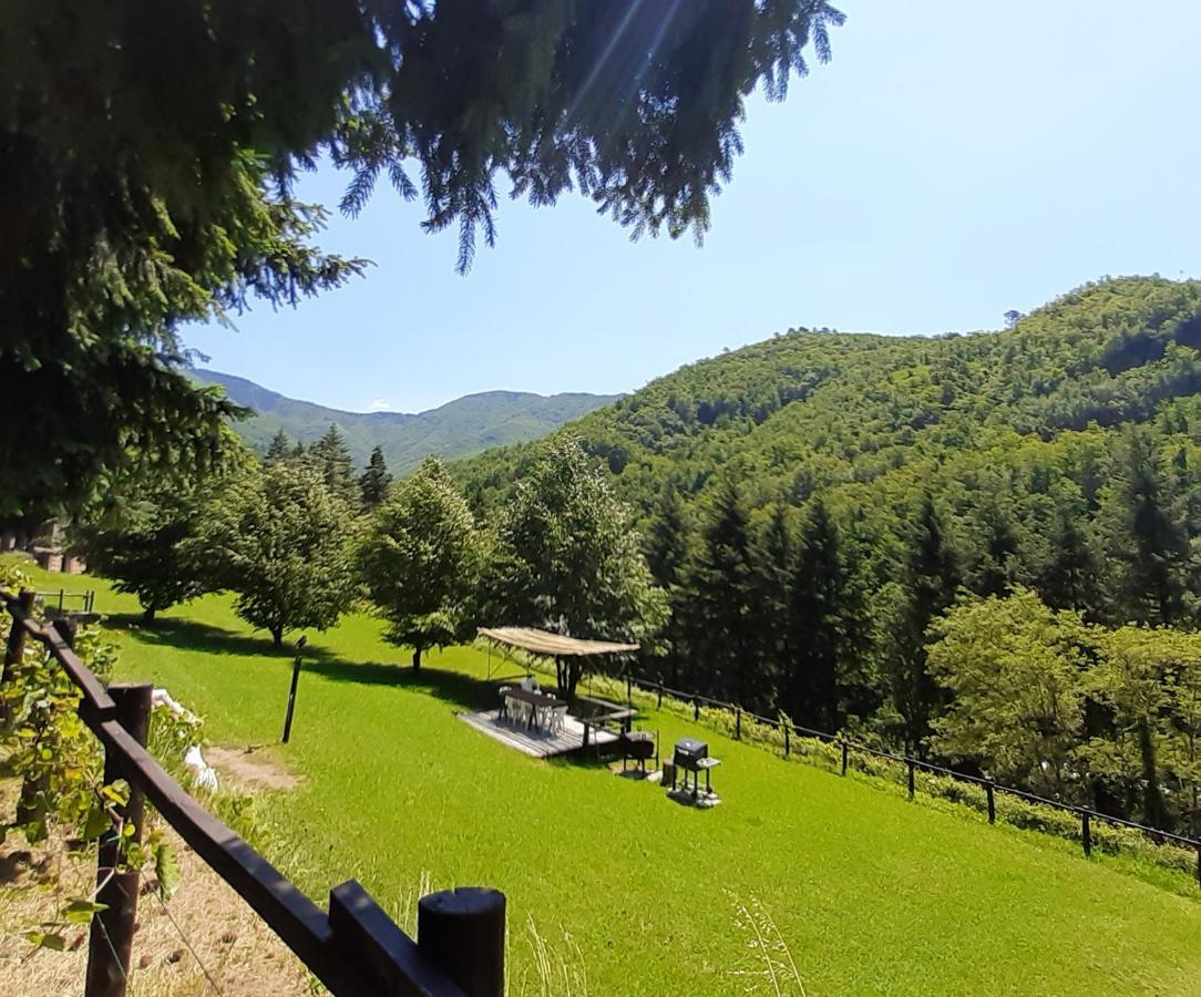 Il Bosco Di Campo Marzano Garden Apartments Borzonasca Exteriér fotografie