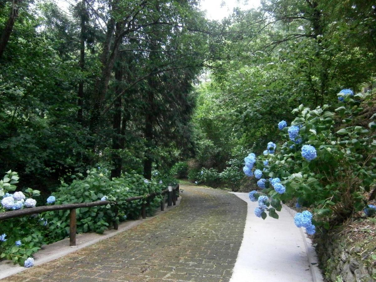 Il Bosco Di Campo Marzano Garden Apartments Borzonasca Exteriér fotografie